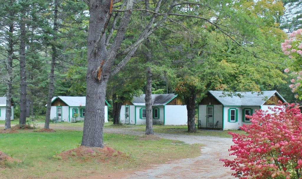 Pine Valley Cabins Thornton Kamer foto