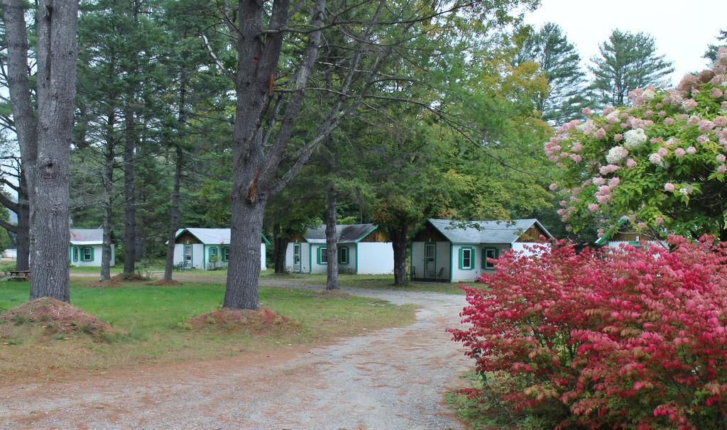 Pine Valley Cabins Thornton Buitenkant foto