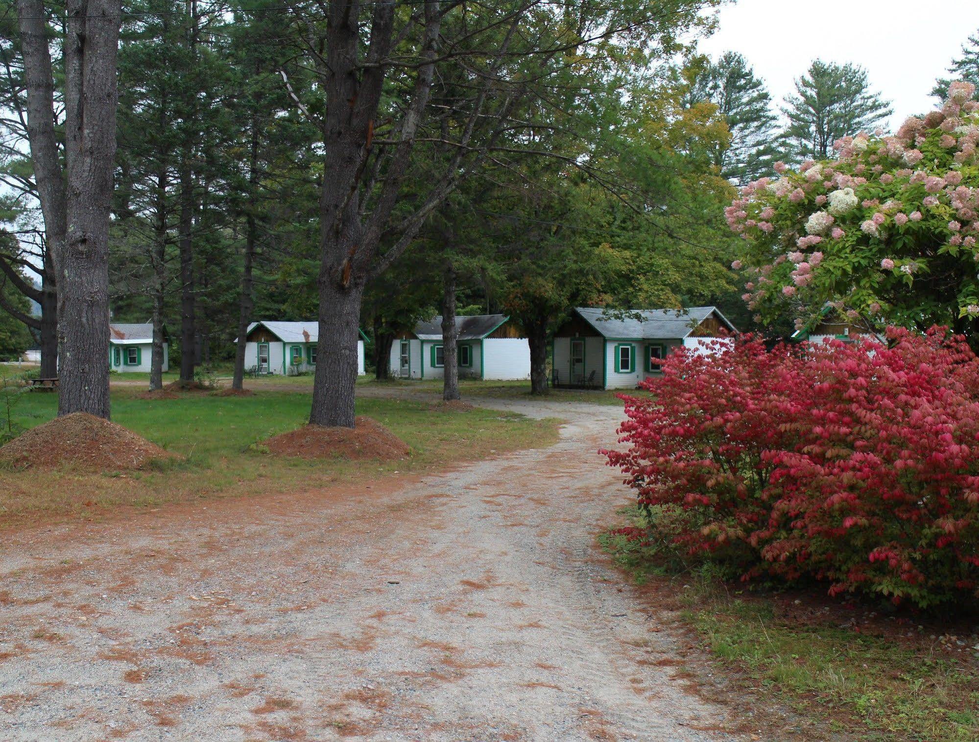 Pine Valley Cabins Thornton Buitenkant foto