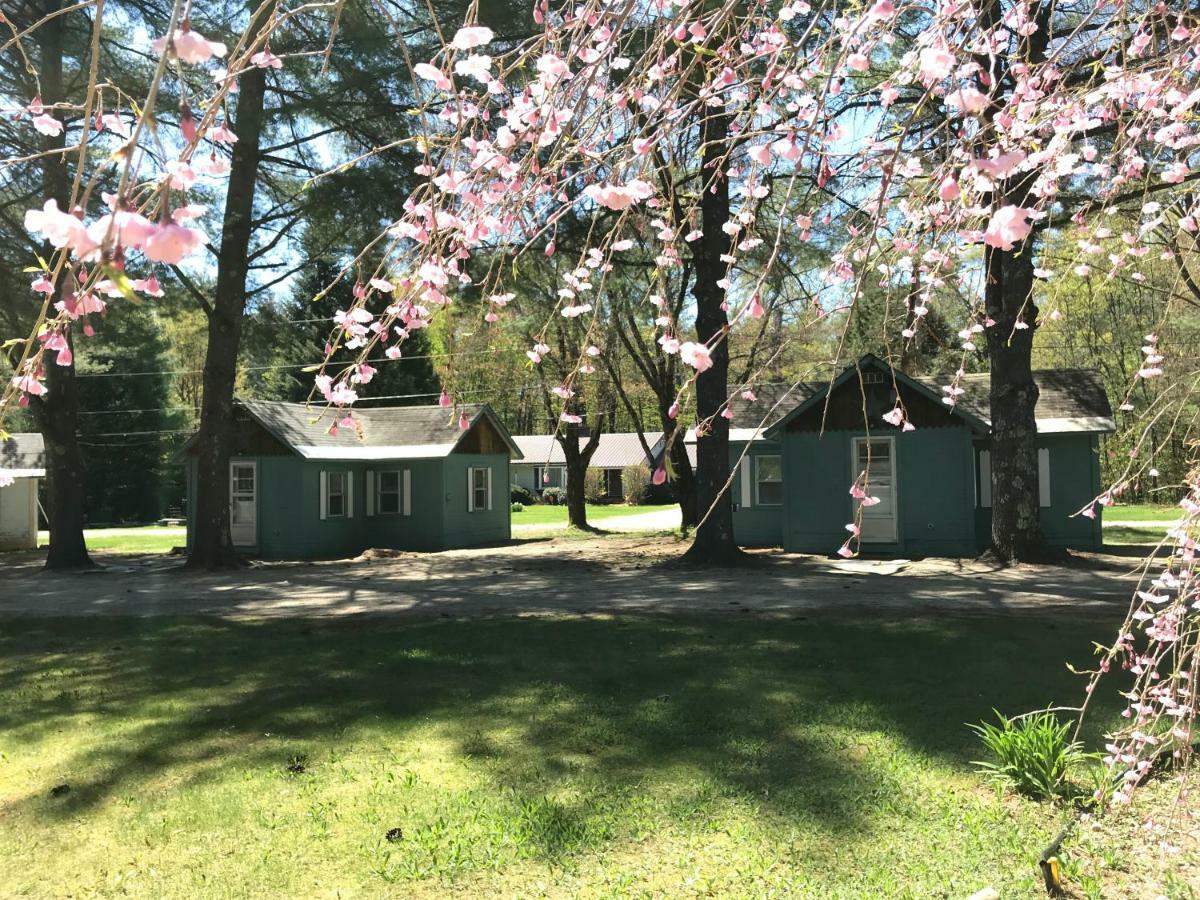 Pine Valley Cabins Thornton Buitenkant foto